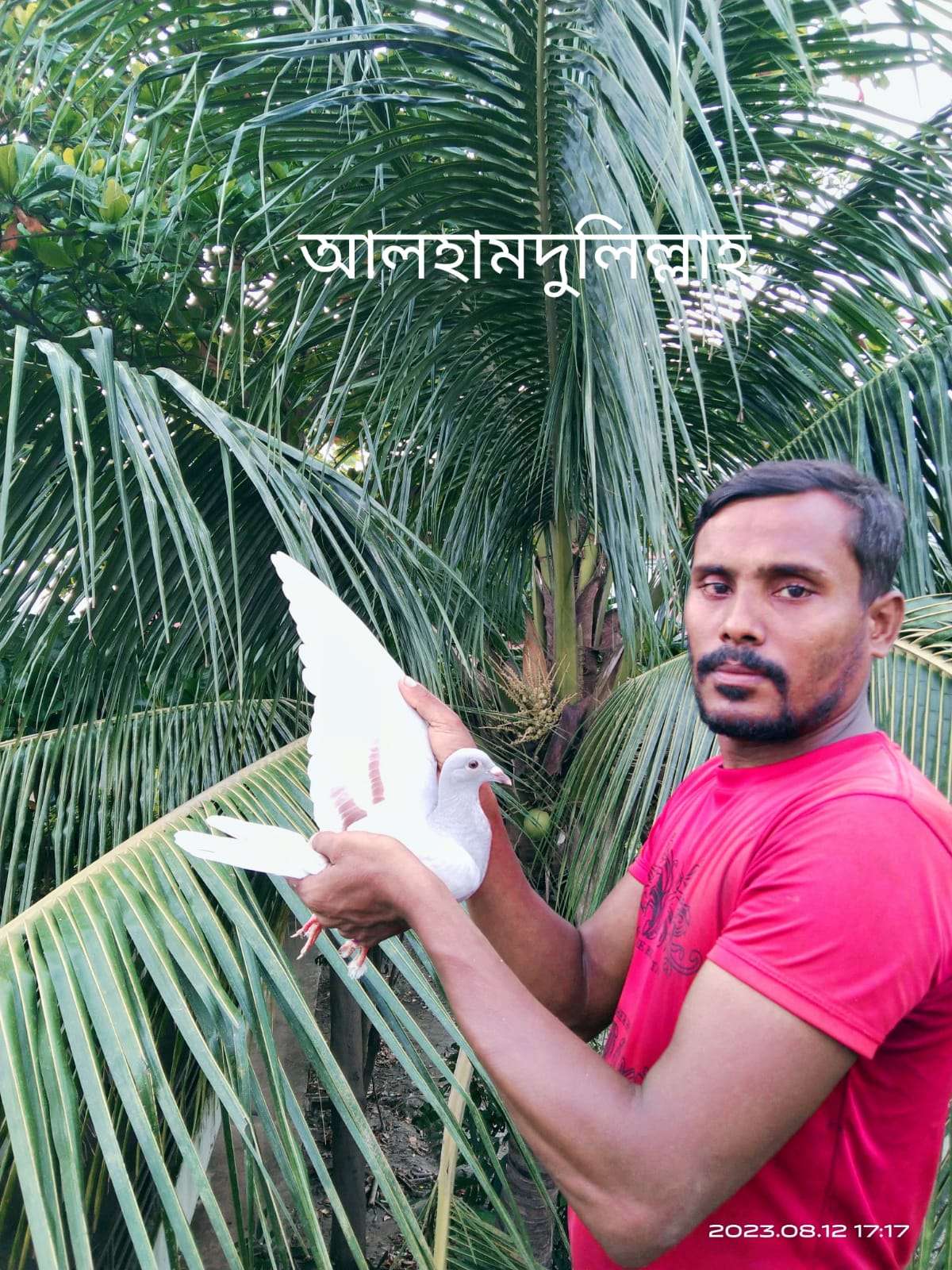 Babu Islam Salim (Kamalapur)